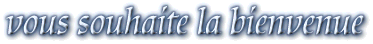 vous souhaite la bienvenue